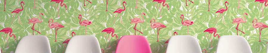 Club Tropicana