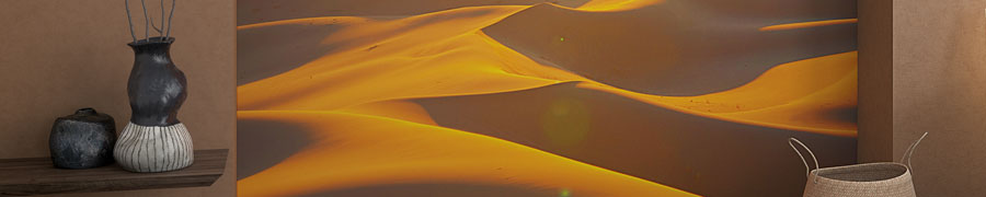 Dune