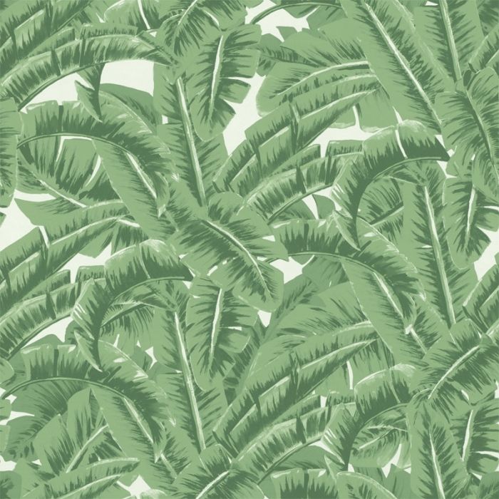 138984 Jungle Fever Rasch-Textil