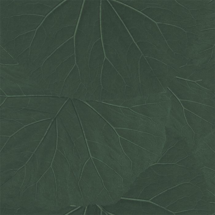 138997_3