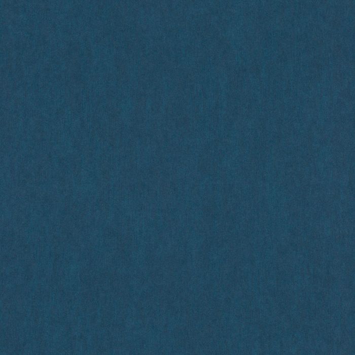 291079_1