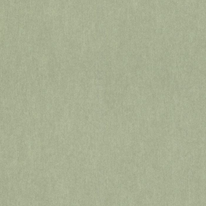 298986_1