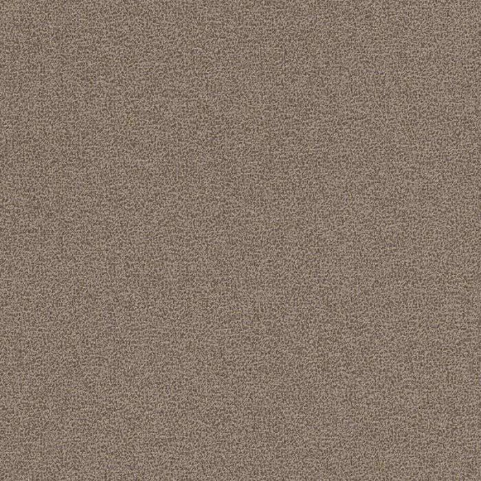 299983-1 299983-1