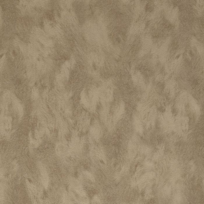300581-1 300581-1