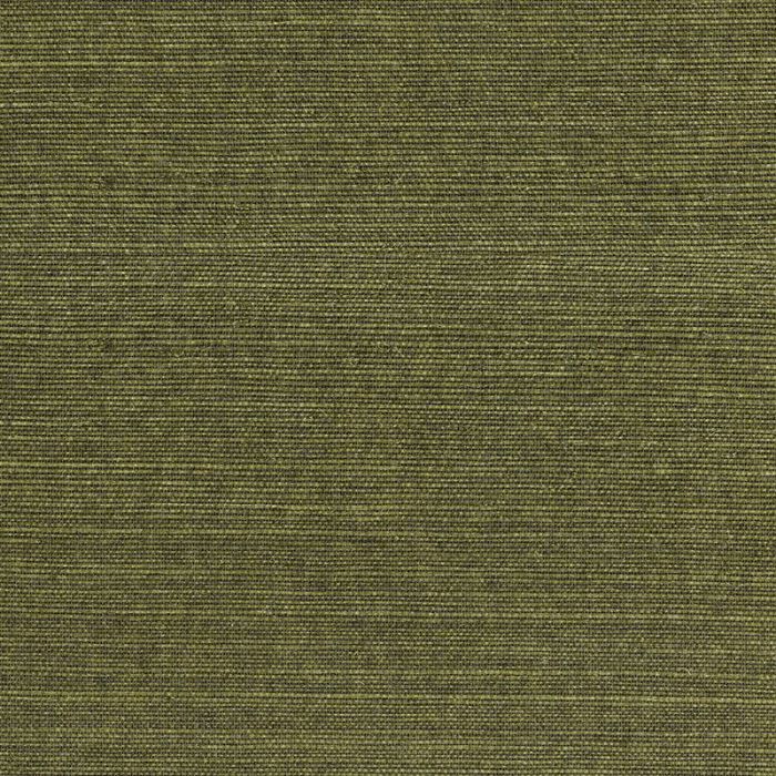 303501_1