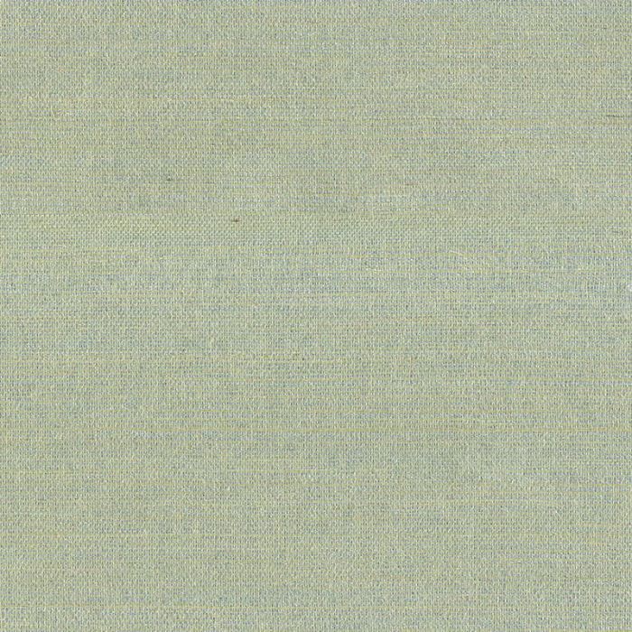 303509_1