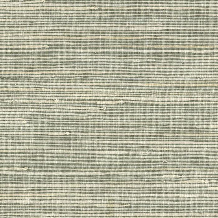 303510_1
