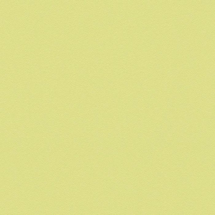 309556_3