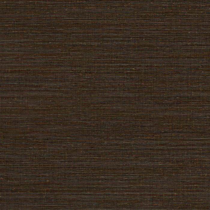 313504_1