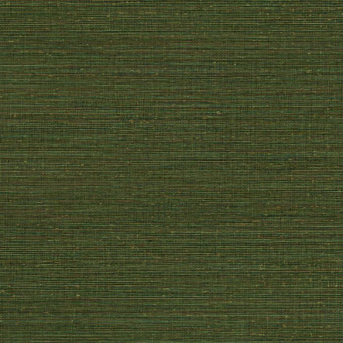 313509_2