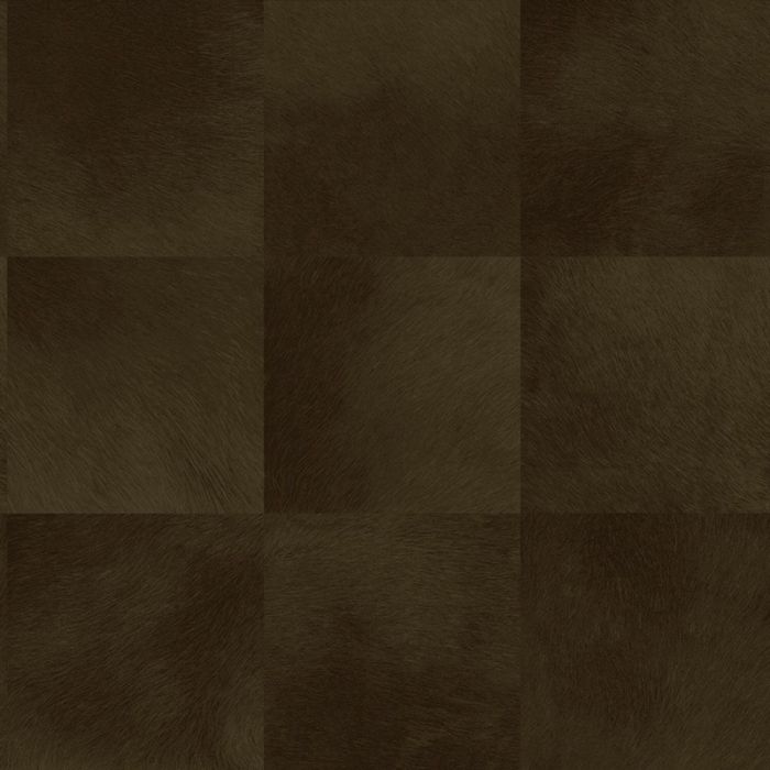 347798_1