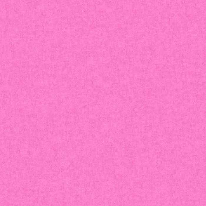 355668_5