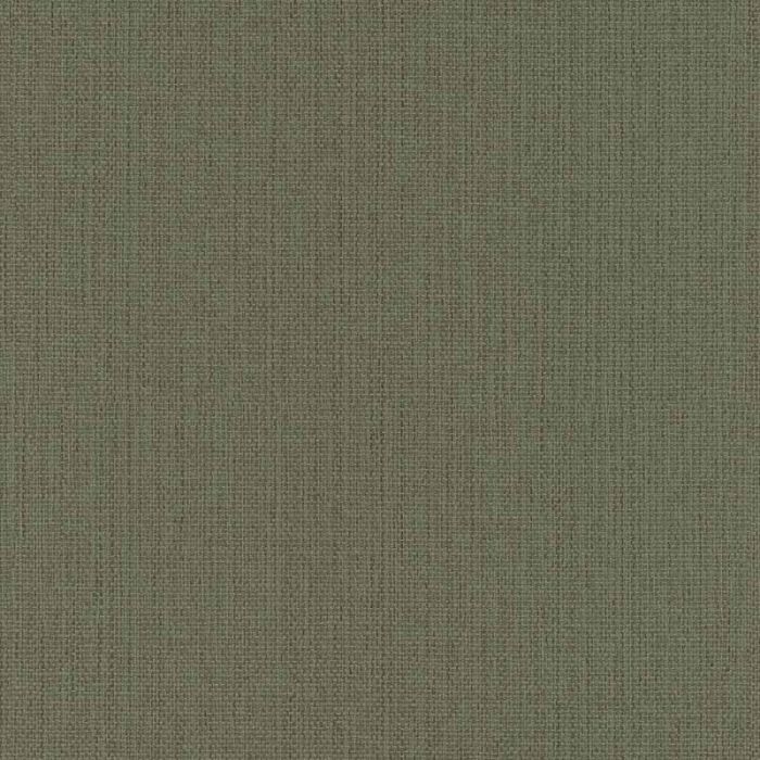 407945_600_0_1