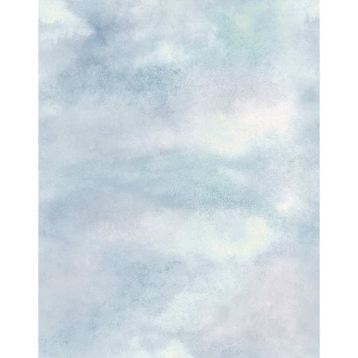 46734_46834_2