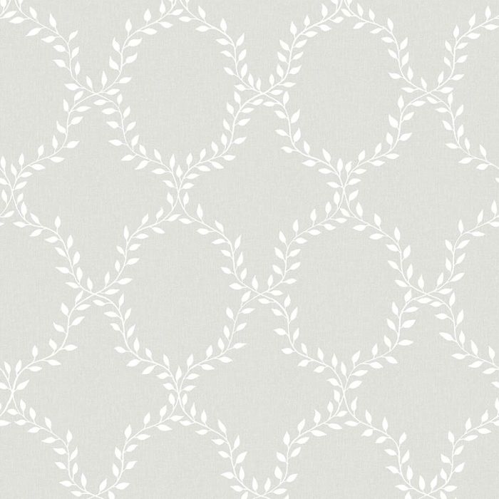 503-41-wilma-product 503-41-wilma-product