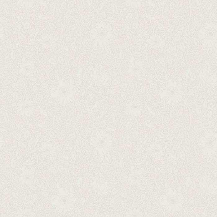 814-11-anton-image1