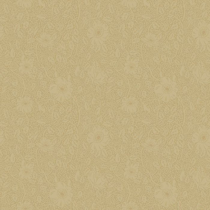 814-22-anton-image1