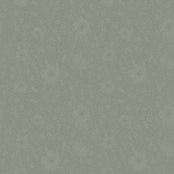 814-38-anton-image1
