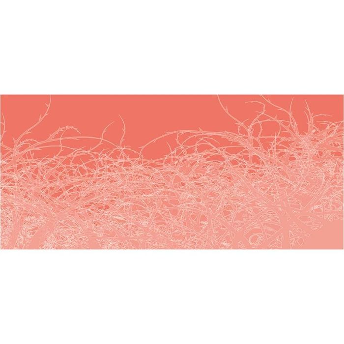 DD116785-1 DD116785-1