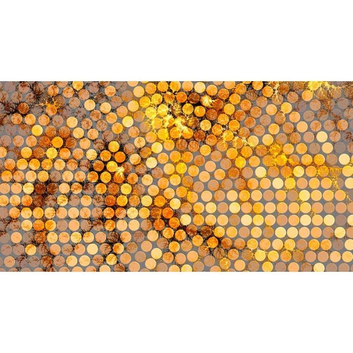 DD117205-1 DD117205-1
