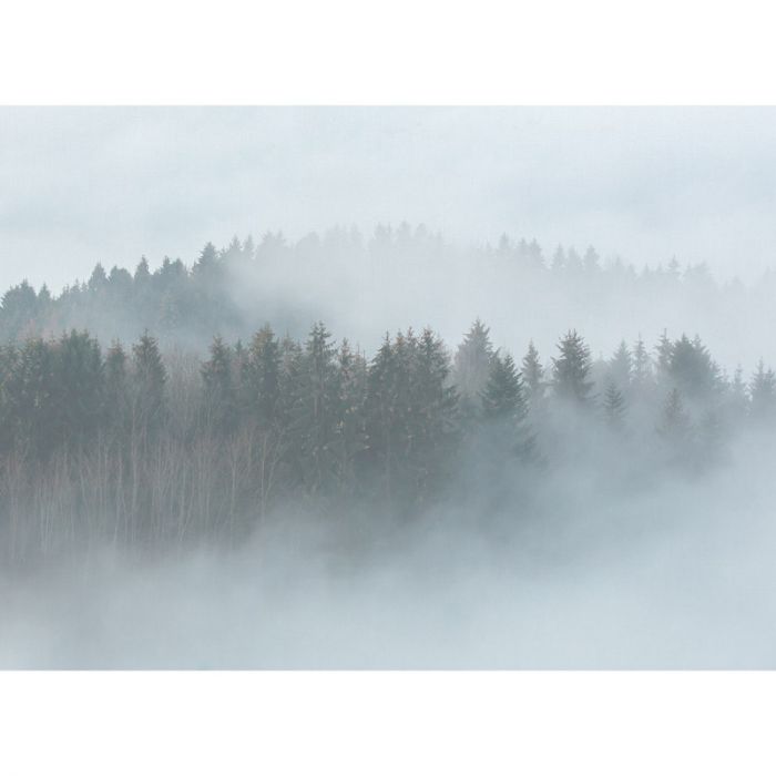 Dd118604 Designwalls Tapete Von Livingwalls Online Kaufen Bringen sie das frische und beruhigende gefühl der natur in ihr interieur mit der fototapete wald bei sonnenaufgang. tapetenmax