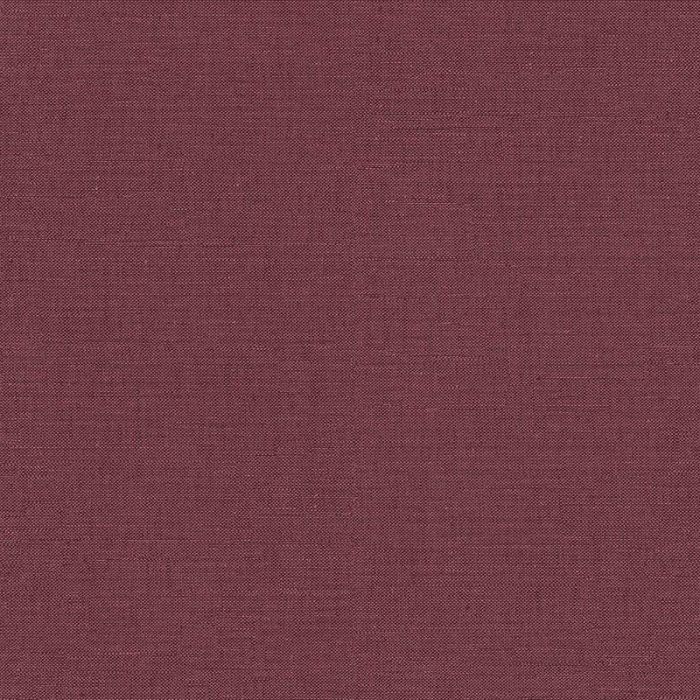 ear704_1