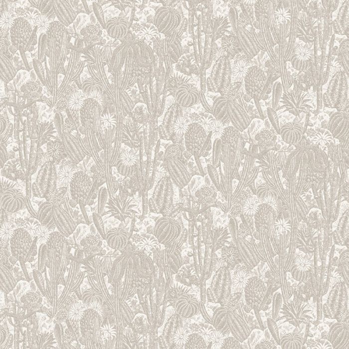 hav202_g__1