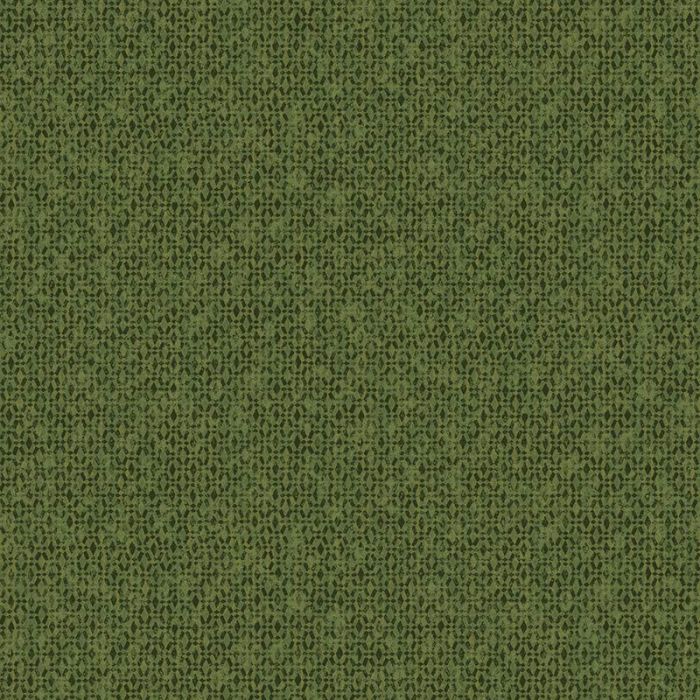 hav502_g__1