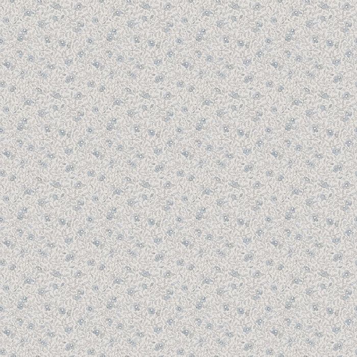 s10120-stella-image1