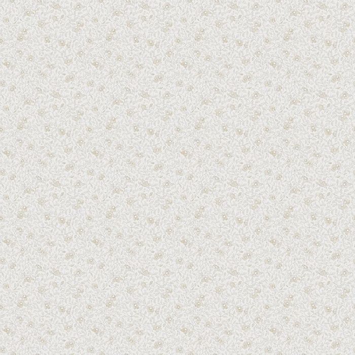 s10121-stella-image1