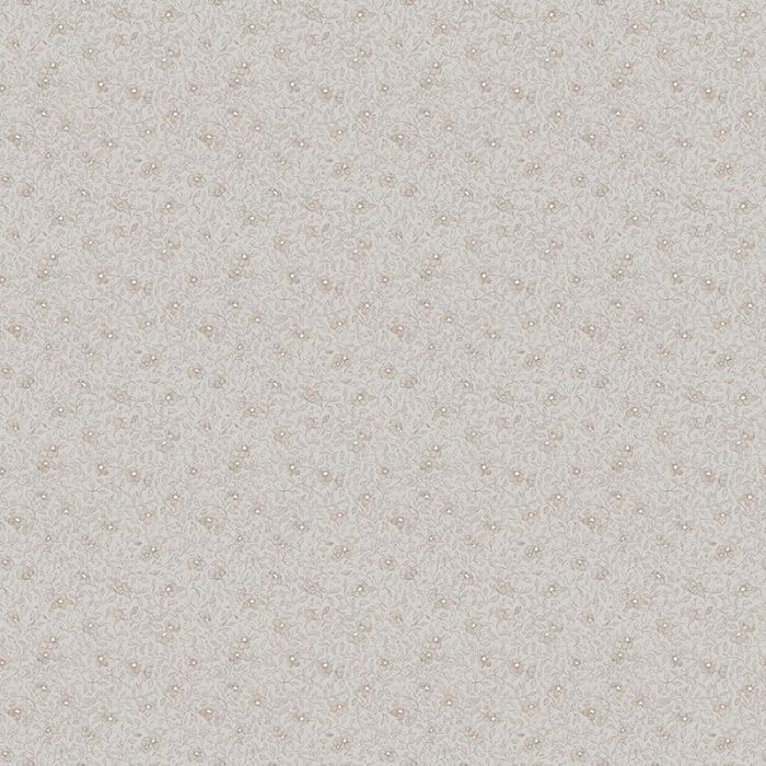 s10122-stella-image1