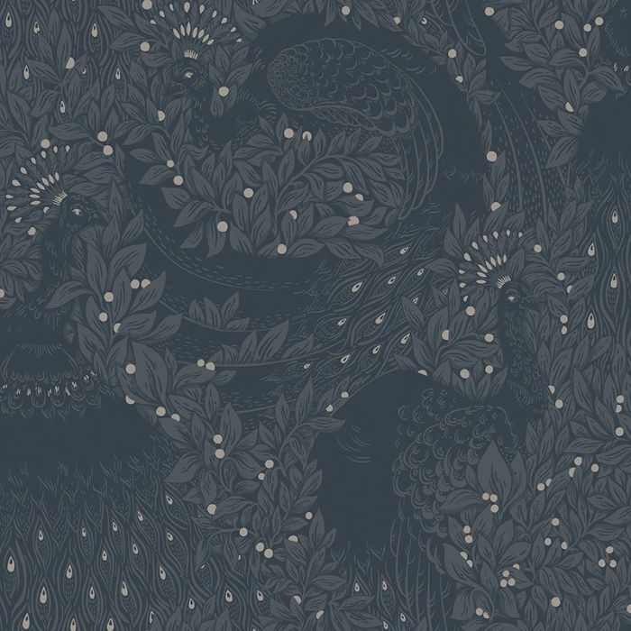 s10126-evelina-image1