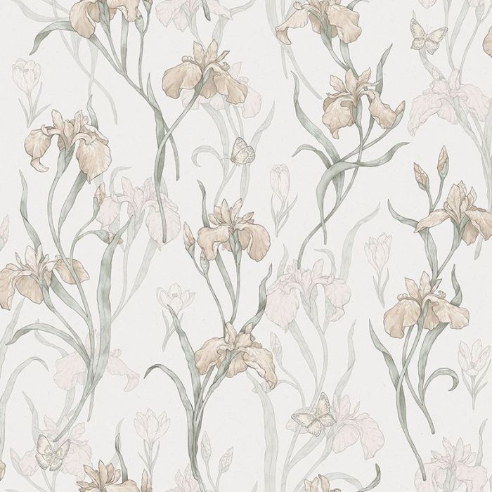 s10135-iris-image1