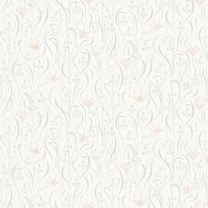 s10157-signe-image1