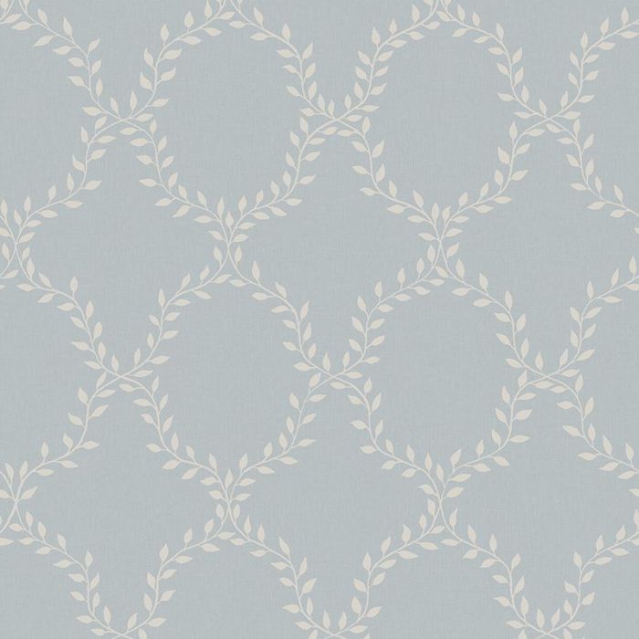 s10202-wilma-product