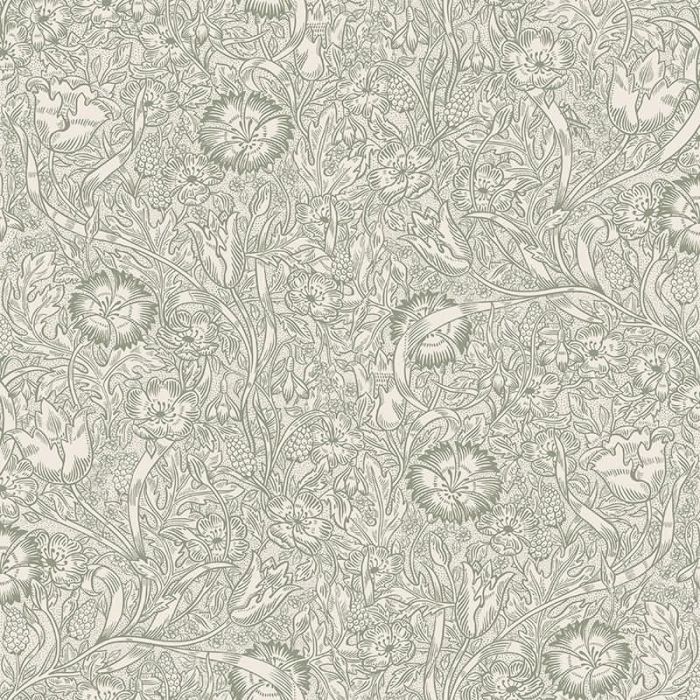 S10210-1