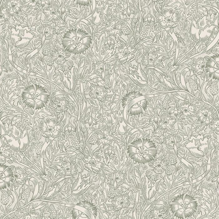 s10210-caroline-product