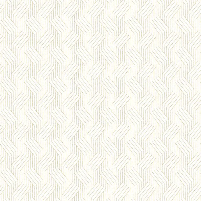 zen404