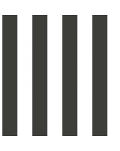Tapete Schwarz-Weiss Rasch-Textil Vliestapete (1025017)