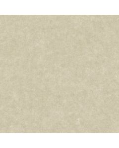 025361 Architecture Rasch-Textil