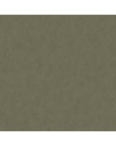 Tapete Grün Rasch-Textil Vliestapete (1025311)