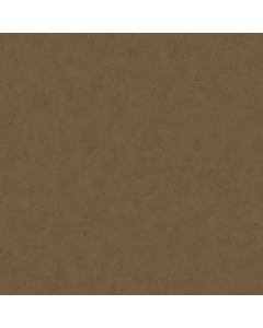 Tapete Braun Rasch-Textil Vliestapete (1025312)