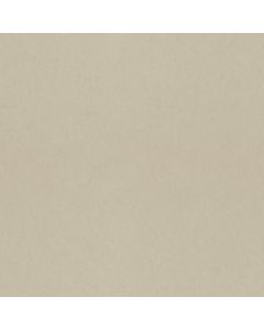 Tapete Braun Rasch-Textil Vliestapete (1043665)