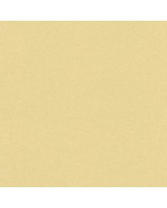 229409 Abaca Rasch-Textil