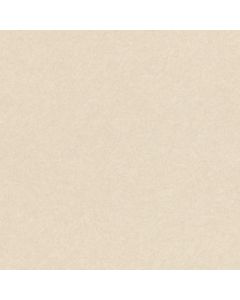 229461 Abaca Rasch-Textil