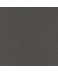 Tapete Schwarz, Anthrazit Rasch-Textil Vliestapete (1040471)
