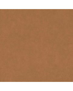 Tapete Braun Rasch Vinyltapete (1044619)