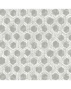 333271 AP Alpha Architects Paper