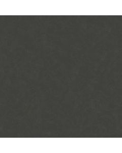 Tapete Schwarz, Anthrazit AS-Creation Vinyltapete (1033714)