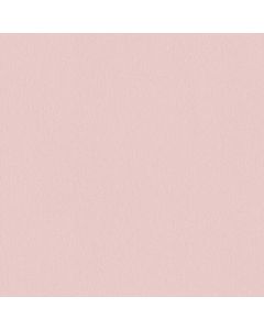 Tapete Pastellfarben, Rosa, Rose AS-Creation Vinyltapete (C379-7716)